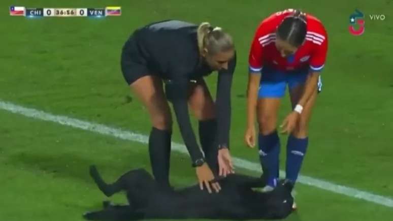 Cachorro invadiu o campo durante amistoso entre as seleções femininas de Chile e Venezuela (Foto: Reprodução)