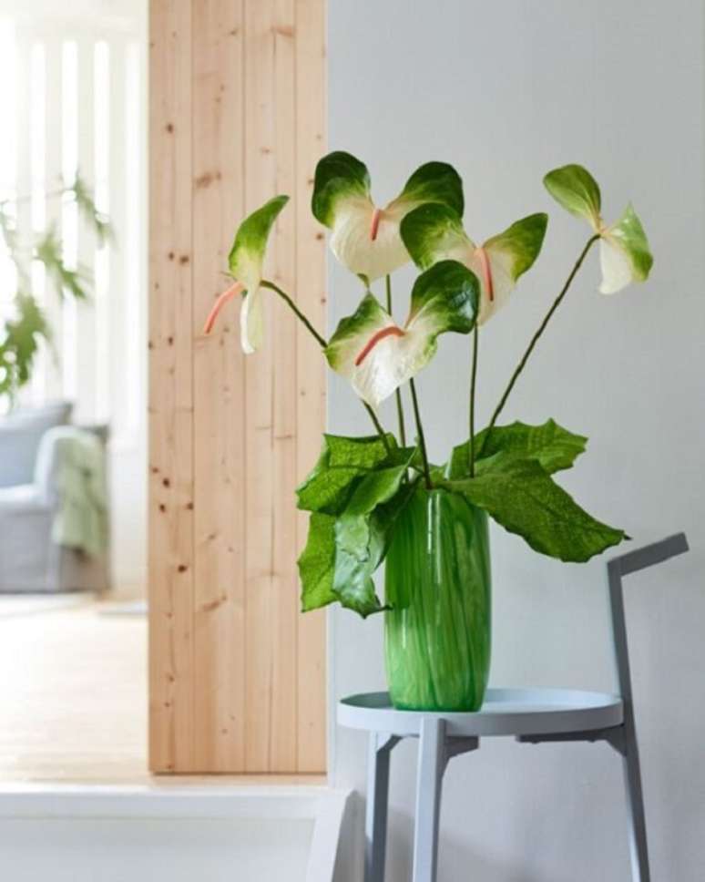 31. Vaso de anturio branco e verde &ndash; Foto Anthurium Info