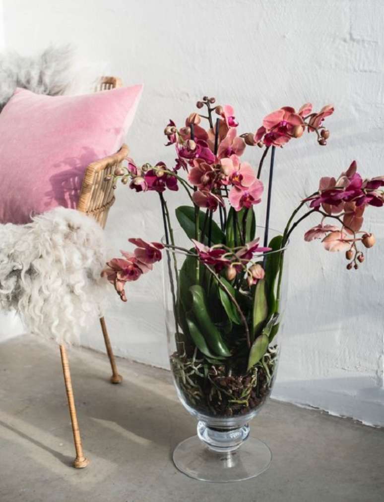 23. Sala de estar com vaso de vidro &ndash; Foto Stolk Flora