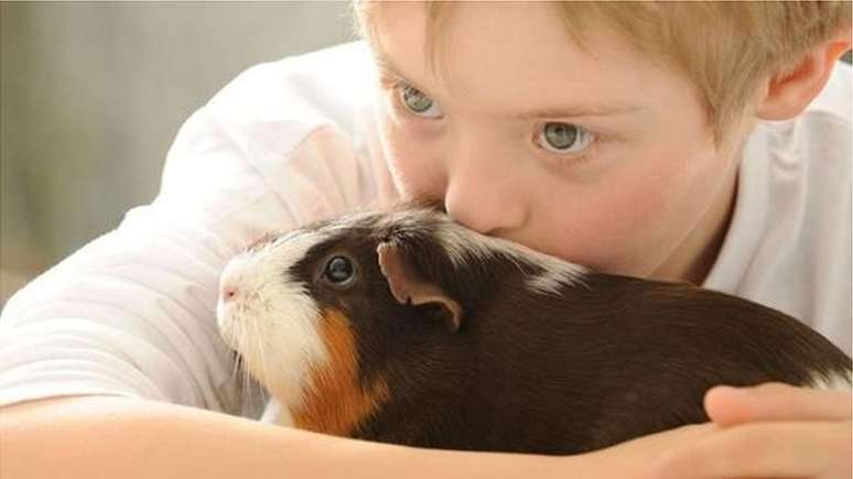 Crianças costumam formar fortes laços com animais de estimação, mas benefícios são muito maiores, segundo pesquisas