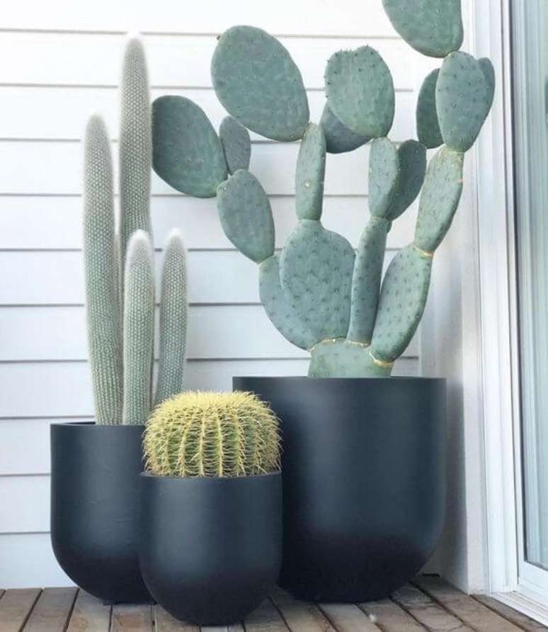 7. Cultive o cacto bola em vasos sofisticados &ndash; Fonte The Balcony Garden