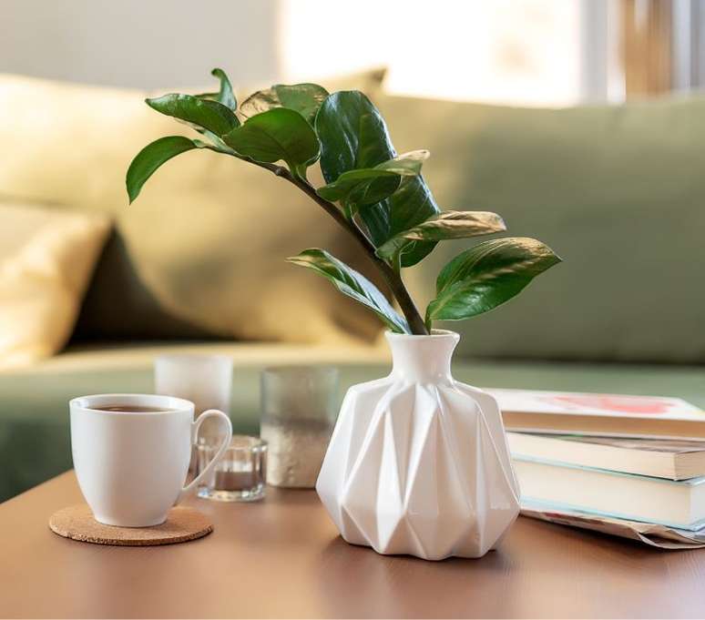 As plantas para a decora&ccedil;&atilde;o da mesa de centro n&atilde;o podem ficar mais altas do que a altura da vis&atilde;o - Shutterstock