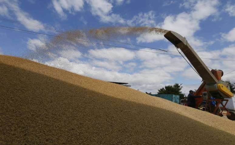 Ucranianos acusam Rússia de roubar grãos no sul do país