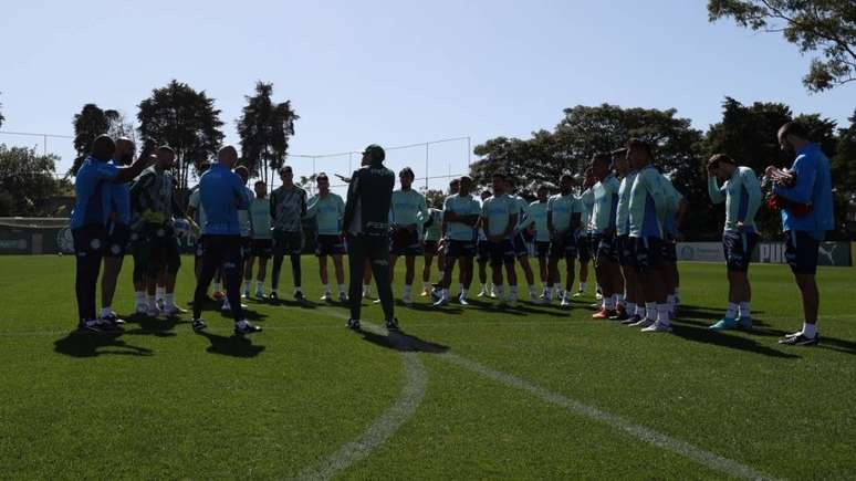 Palmeiras entrará em campo para garantir a classificação na Libertadores (Foto: Cesar Greco/Palmeiras)