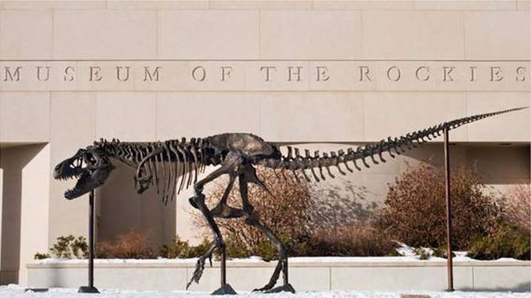 Esqueleto de Tiranossauro rex de bronze no Museu das Montanhas Rochosas, em Montana, nos Estados Unidos