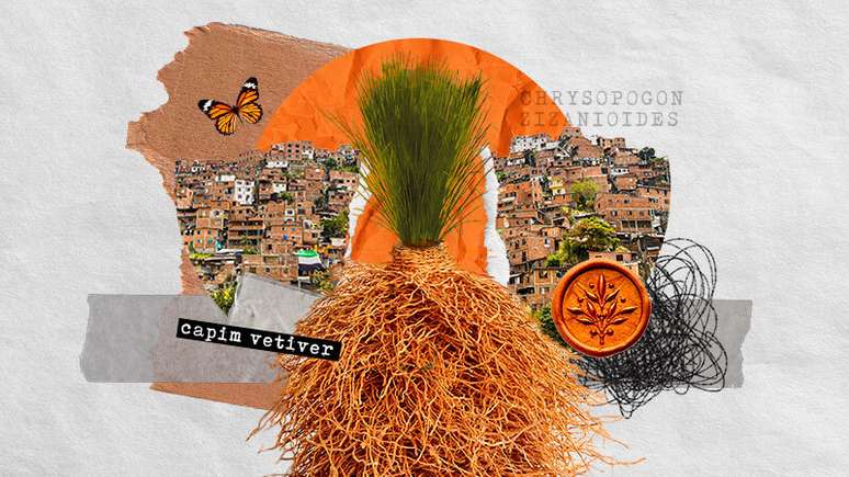 Colagem textos plantas de conten&ccedil;&atilde;o.