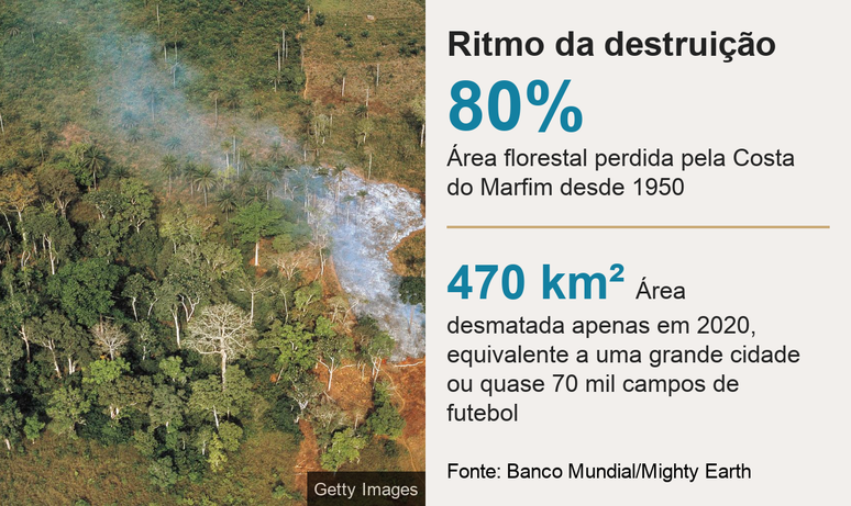 Infogr&aacute;fico mostra ritmo da destrui&ccedil;&atilde;o florestal na Costa do Marfim