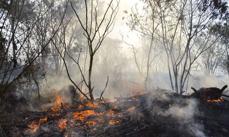 Bombeiros tentam controlar incendio no cerrado, proximo a QI 19 no Lago Sul