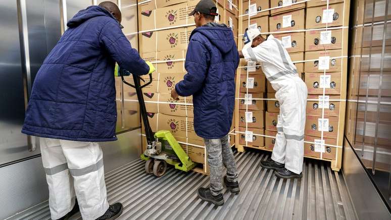 Cont&ecirc;ineres especiais controlam temperatura, oxig&ecirc;nio e n&iacute;veis de g&aacute;s carb&ocirc;nico