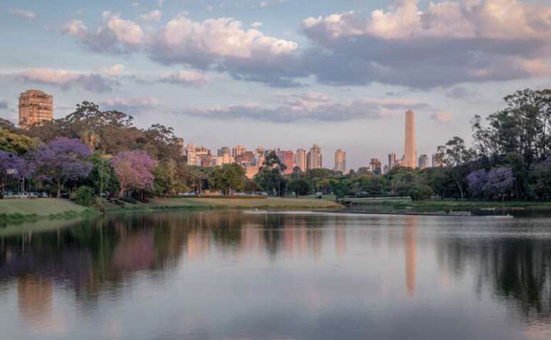 Parque Ibirapuera