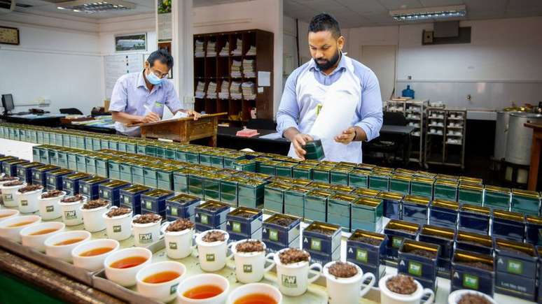 A produção de chá foi afetada pela política agrícola sem fertilizantes químicos