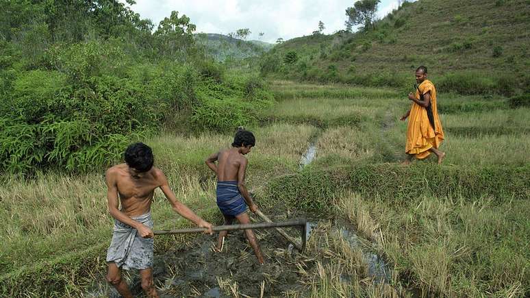 Os pequenos agricultores são a base da economia rural do país