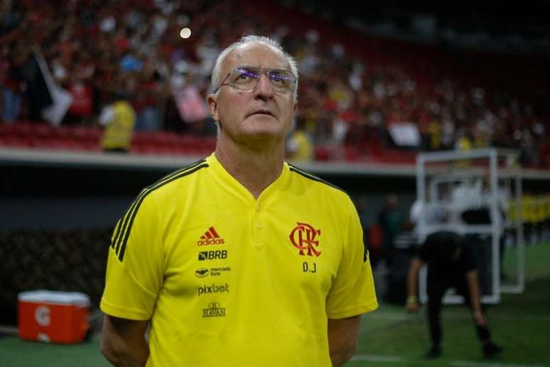 Dorival Júnior vive bom momento no Flamengo (Foto: Gilvan de Souza/Flamengo)