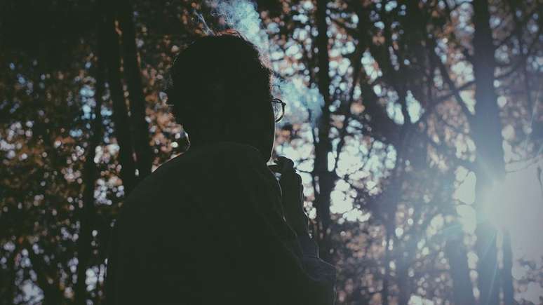 Em peso, h&aacute; mais mat&eacute;ria feita pelo homem na Terra do que todas as &aacute;rvores, animais, seres humanos e outras mat&eacute;rias vivas