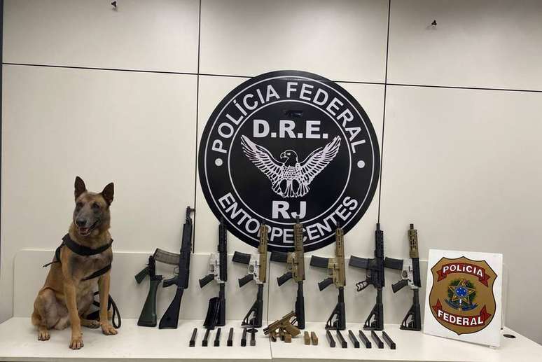 O cão farejador Apollo foi o responsável pela identificação das armas.