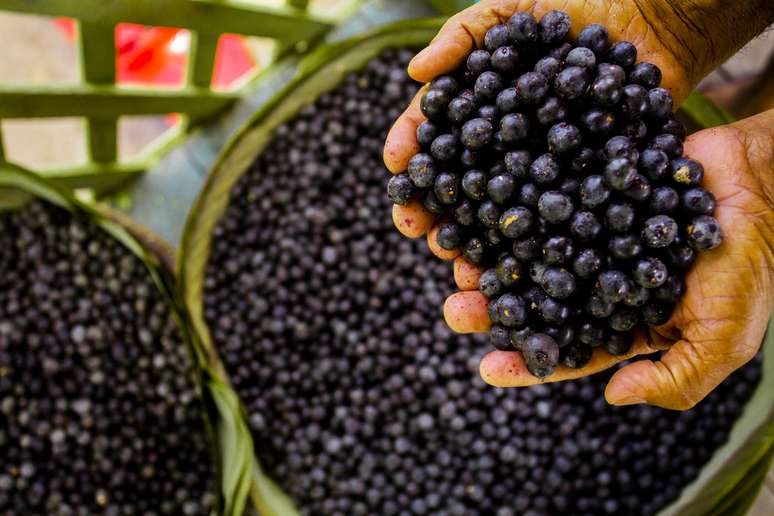 Açaí faz mal pro fígado? Mitos e verdades sobre o alimento