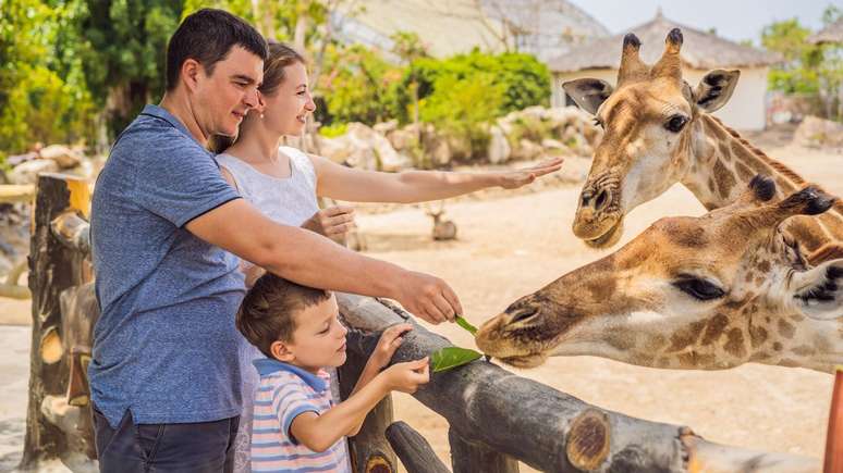 Uma ida ao zoológico é perfeita para as crianças que amam os animais