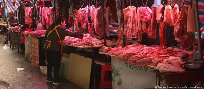 Pesquisadores n&atilde;o conseguiram determinar de qual esp&eacute;cie animal v&iacute;rus passou para os humanos