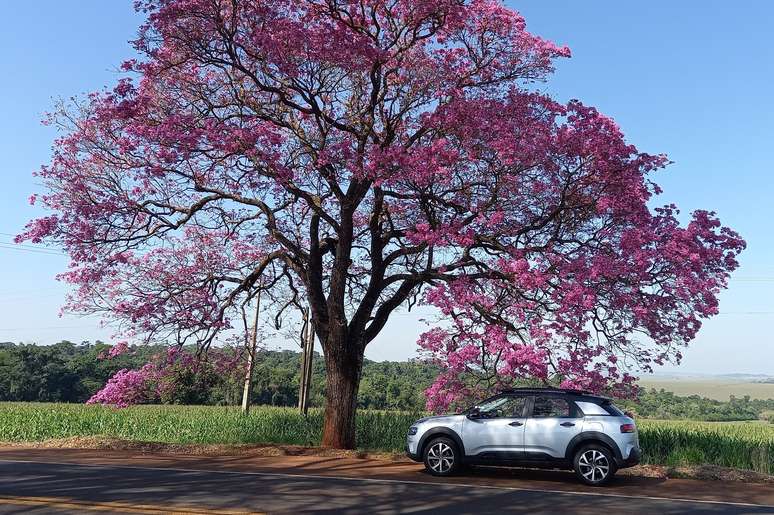 Citroën C4 Cactus 1.6 THP