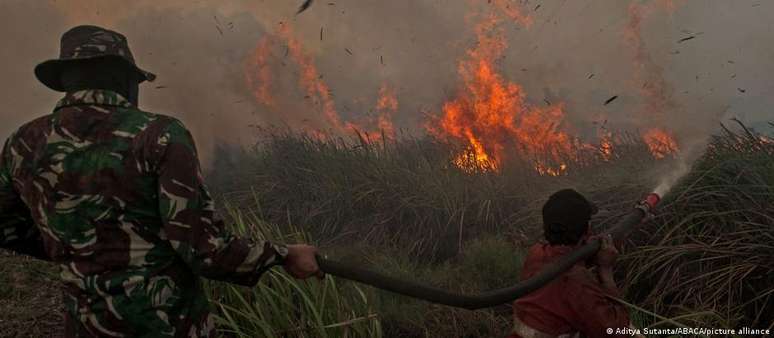 Destruição da natureza, como em Sumatra, Indonésia, contribui para esgotamento de recursos naturais