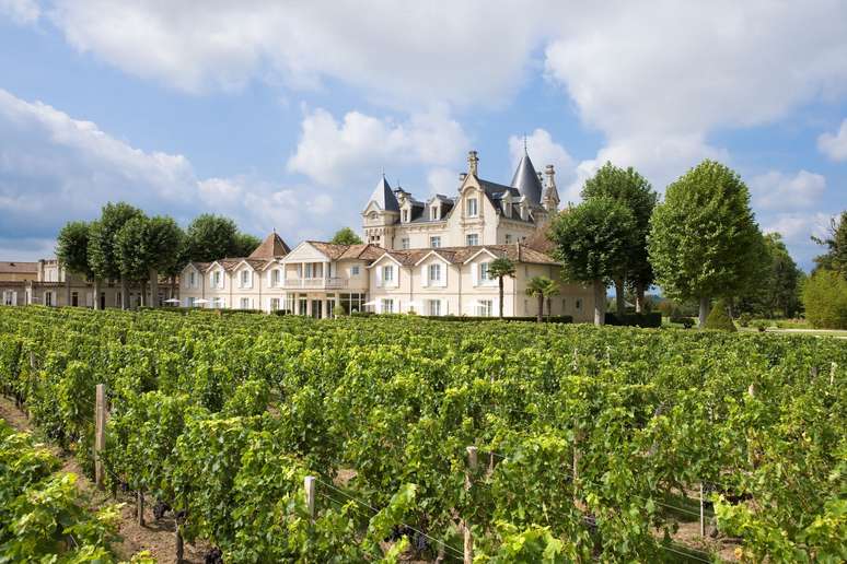 O château é cercado por vinhedos.