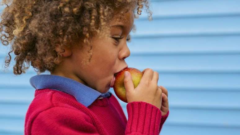 O tipo de fruta a ser oferecido para as crianças deverá respeitar as características regionais, custo, estação do ano e a presença de fibras