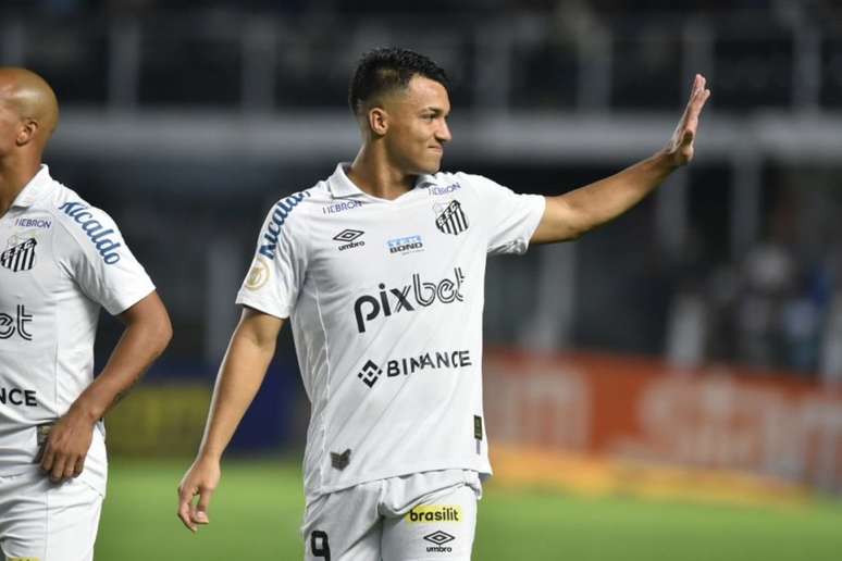 Marcos Leonardo marcou o gol que deu o empate ao Santos no fim (Foto: Ivan Storti/Santos FC)