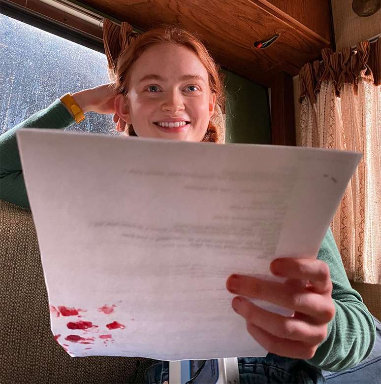 𓂃 ׂ⋆ ˖ ࣪ Falem/Peçam ideias de script pra mim fazer!! #realidadedesej, Sadie Sink