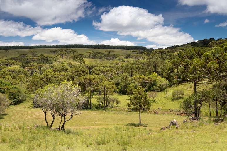 &Aacute;rea rural de Coxilha Rica 