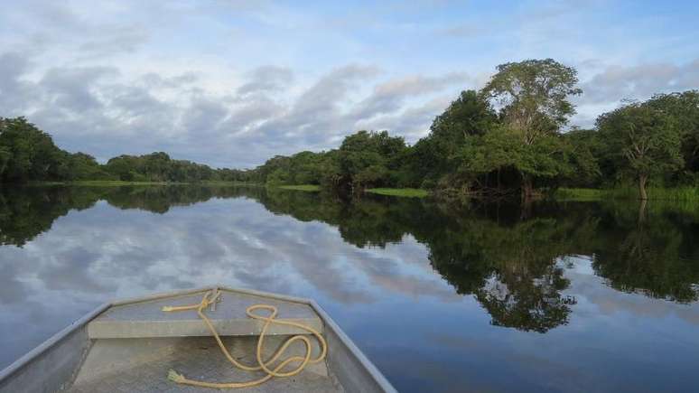 Imagem mostra rio e floresta na Amazônia.