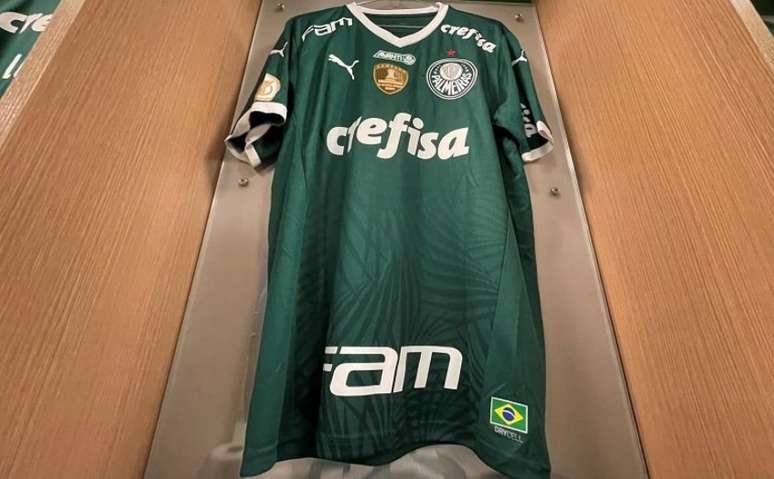 Palmeiras e Puma têm divergências, mas alegam caminhar para um entendimento (Foto: Divulgação/Palmeiras)