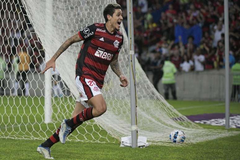 Pedro é o artilheiro isolado da Libertadores (Foto: Alexandre Vidal/Flamengo)