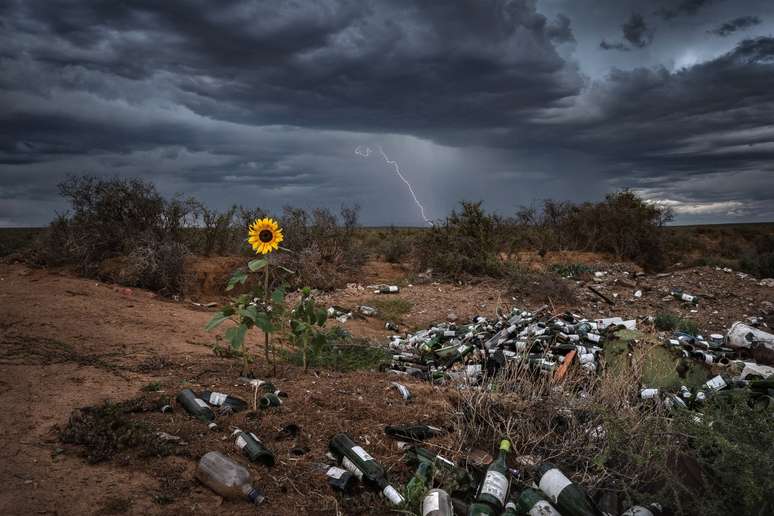Uma tempestade passa sobre um girassol em um depósito de lixo na África do Sul