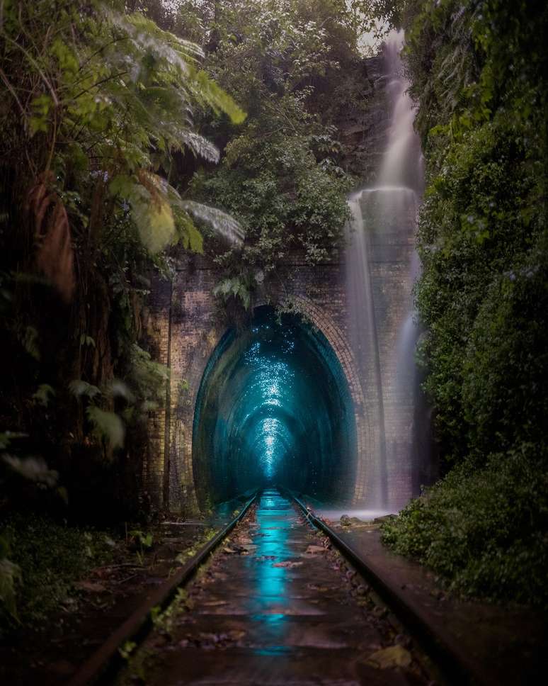 Vagalumes iluminam um arco ferroviário em Helensburg, na Austrália