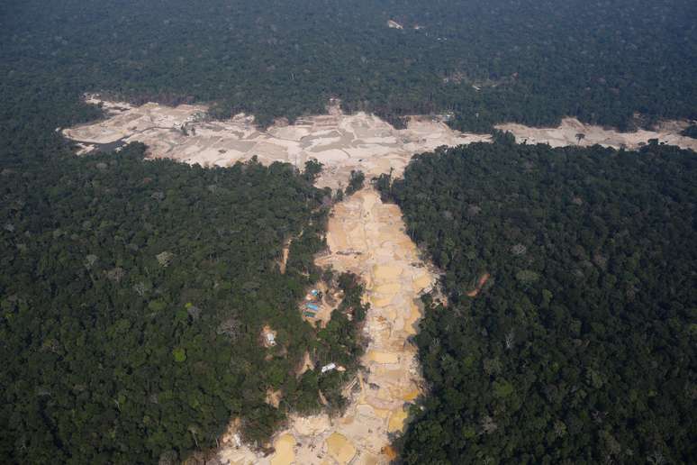 Amazônia perdeu 31 mil km² sob Bolsonaro, aponta Inpe