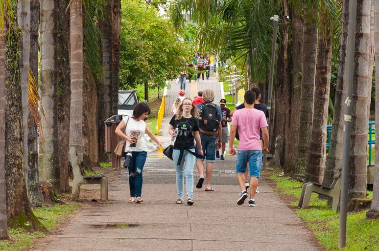 Para professor da UFSC, inclusão de cotistas aumentou a excelência da universidade, que atualmente está em 6º lugar no ranking de melhores universidades da América Latina