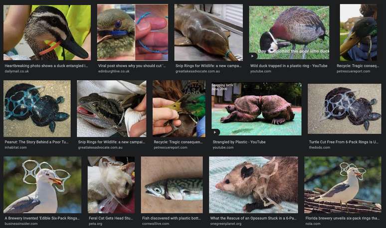 Reprodu&ccedil;&atilde;o Google Images