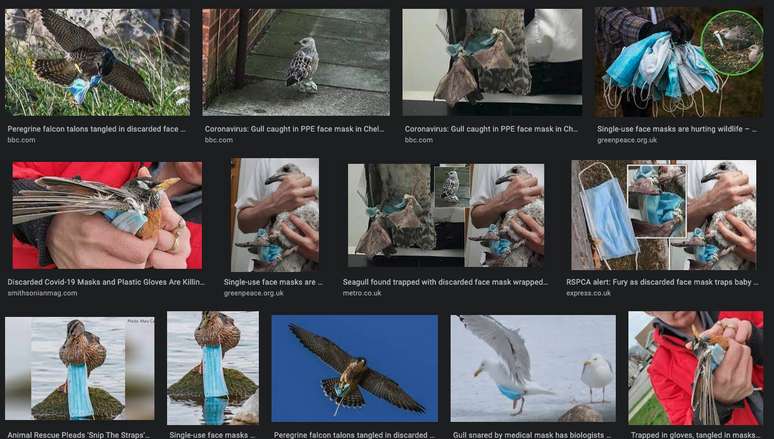 Reprodu&ccedil;&atilde;o Google Images