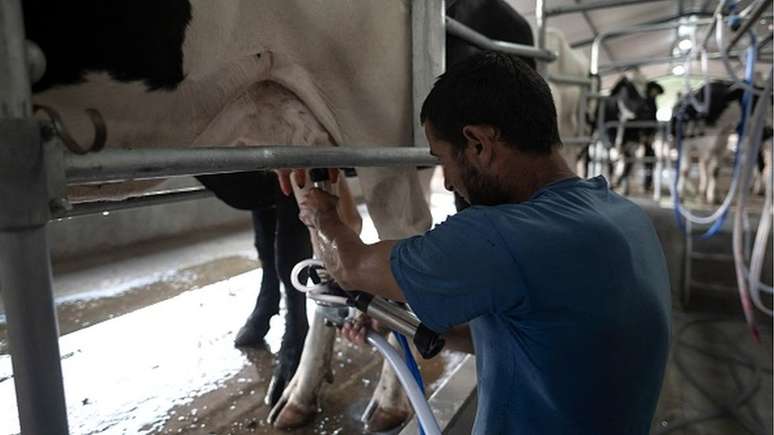 Crise impactou a produção de leite nas fazendas brasileiras