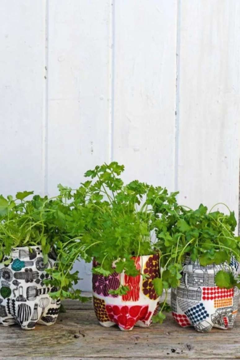 Exiba sua criatividade pitando as garrafas plásticas e cultivando seus vegetais e ervas favoritos nelas.