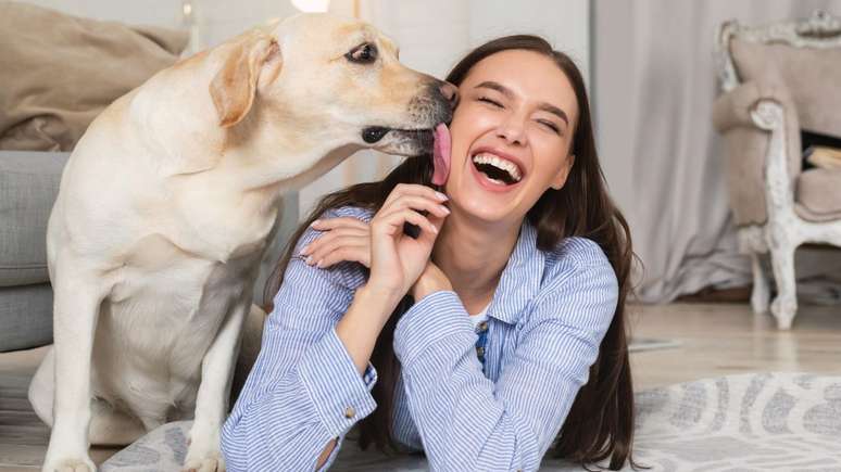 Descubra o que há por trás da mania dos cachorros de lamber os donos