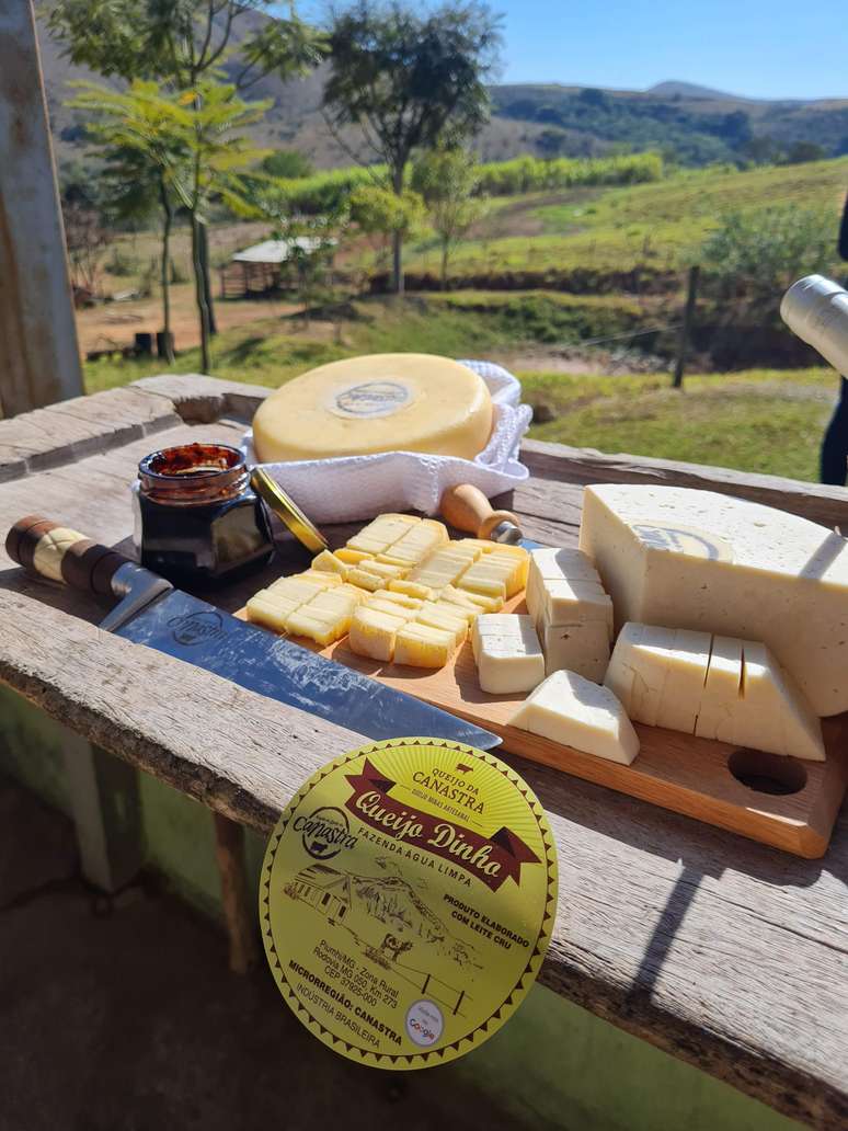 Queijos em duas fases diferentes de maturação para degustar.