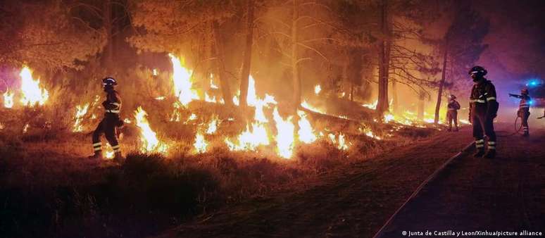 Somente neste ano, o fogo já consumiu mais de 275 mil hectares na Espanha