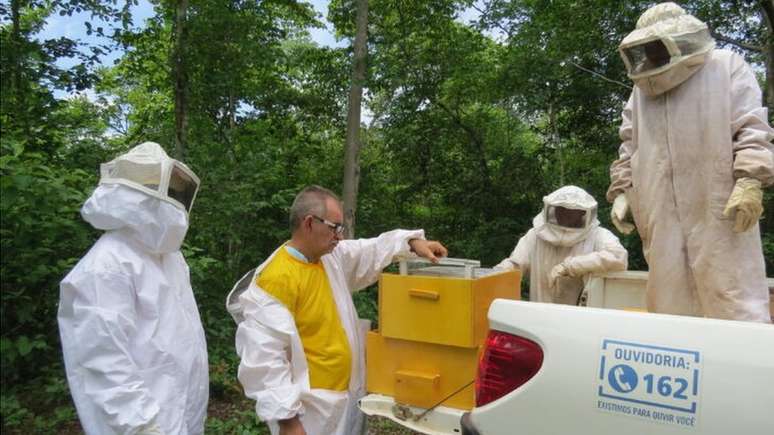 Cooperativa de mel no município de Piracuruca, no Piauí