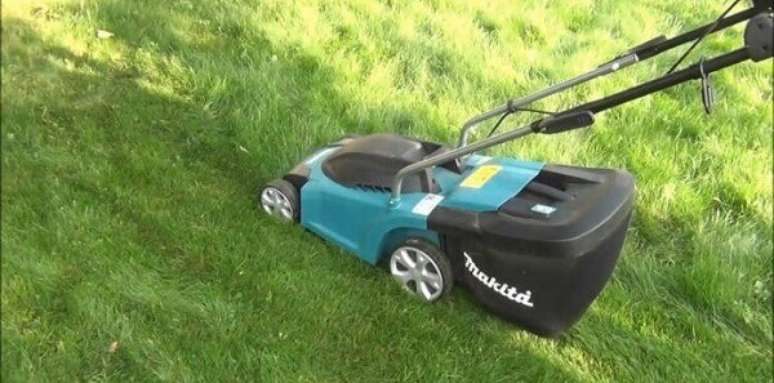 4- Jardinagem: para o seu gramado ficar sempre bonito e verdinho &eacute; necess&aacute;rio que voc&ecirc; corte a grama periodicamente. Fonte: Buchel Store