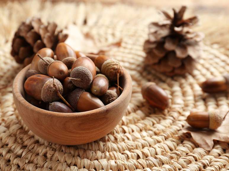 Acorns in wooden bowl on wicker mat. Space for text