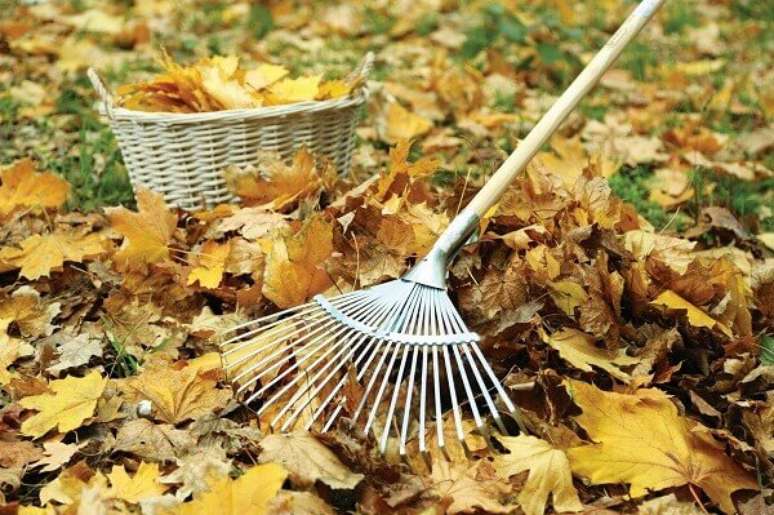 36- O rastelo na jardinagem retira as folhas sem estragar o gramado. Fonte: Daissen