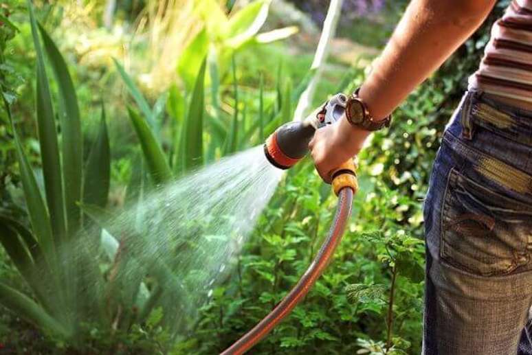 9- Na Jardinagem e paisagismo a mangueira &eacute; utilizada para regar jardins grandes. Fonte: Casa da Barbie