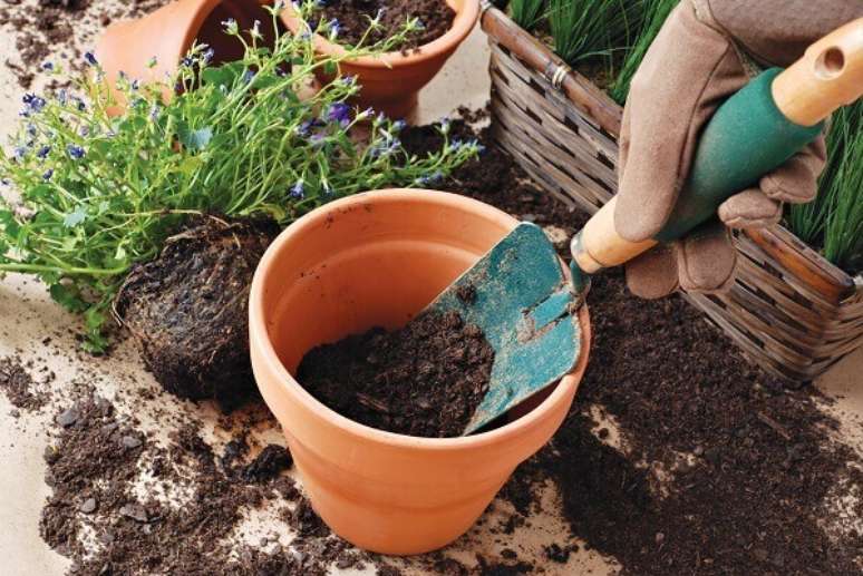 39- Utilize as p&aacute;s de cabo curto para o transplante de mudas na jardinagem. Fonte: Revista Natureza