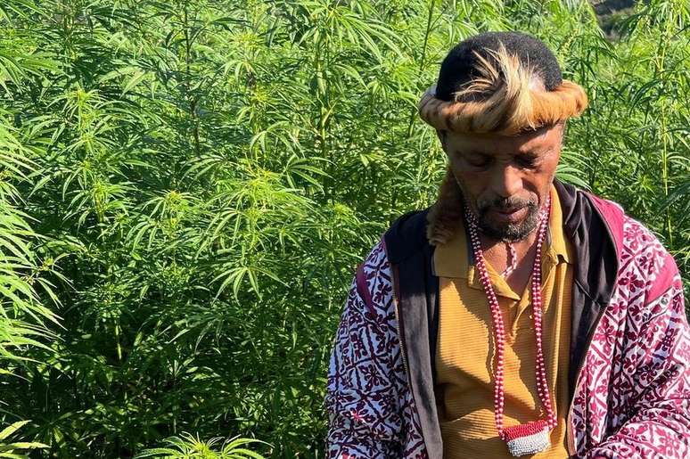 Grego Zueni diz que o governo precisa fazer mais para apoiar pequenos agricultores de cannabis